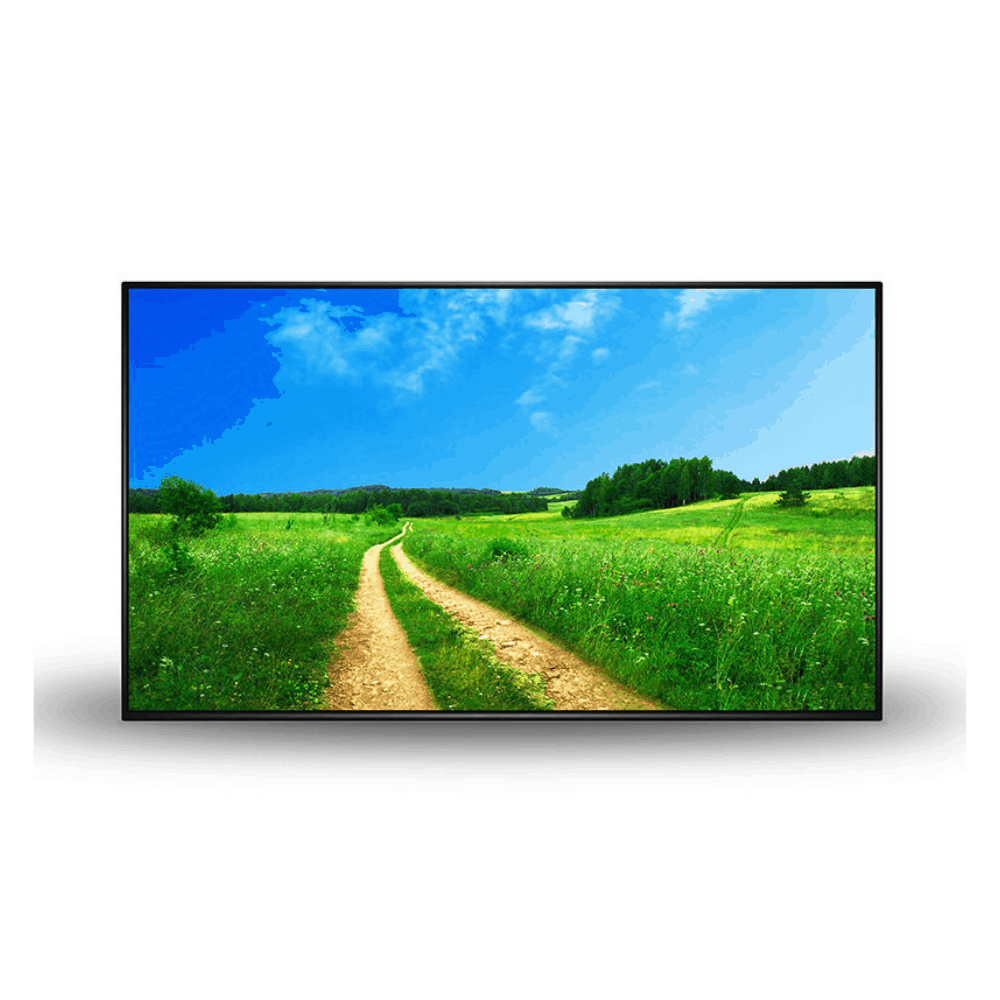Professional Monitor